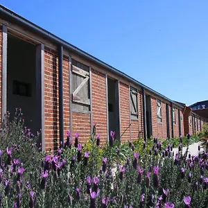 Dusty Hill Vineyard - Resort Moffatdale